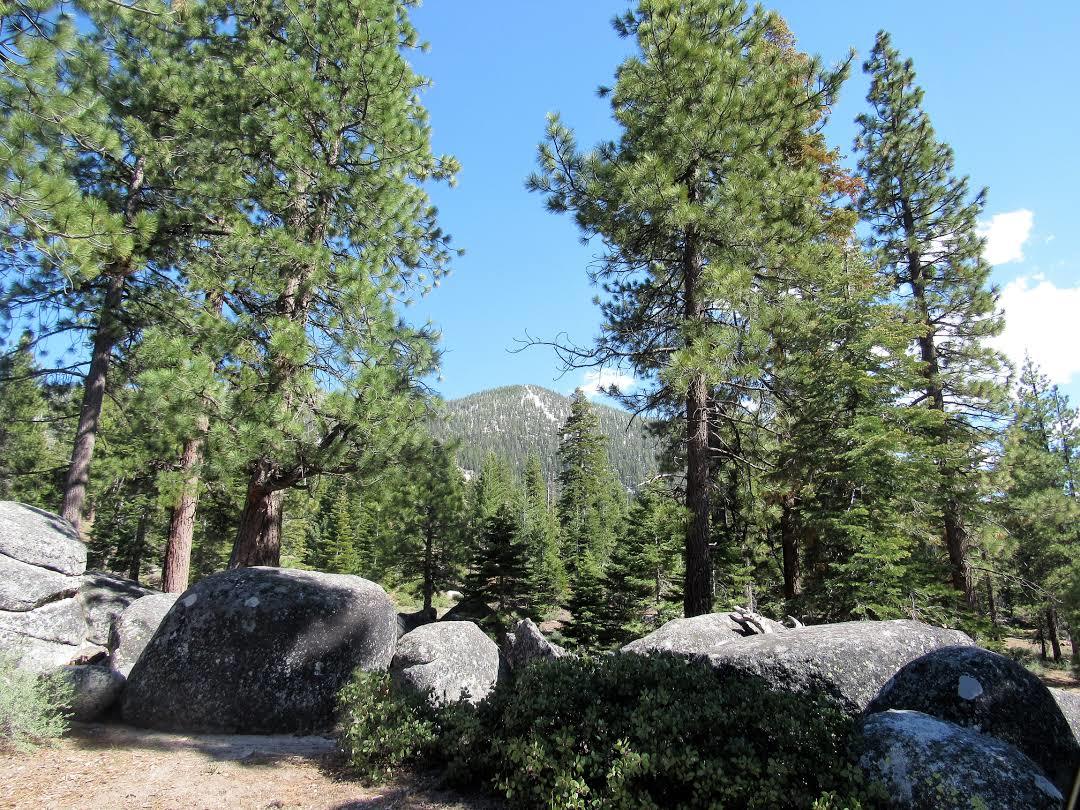 Van Sickle Bi-State Park